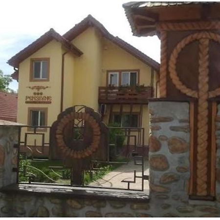 Pensiunea Pentru Tine Prietene Arcani Bilik gambar