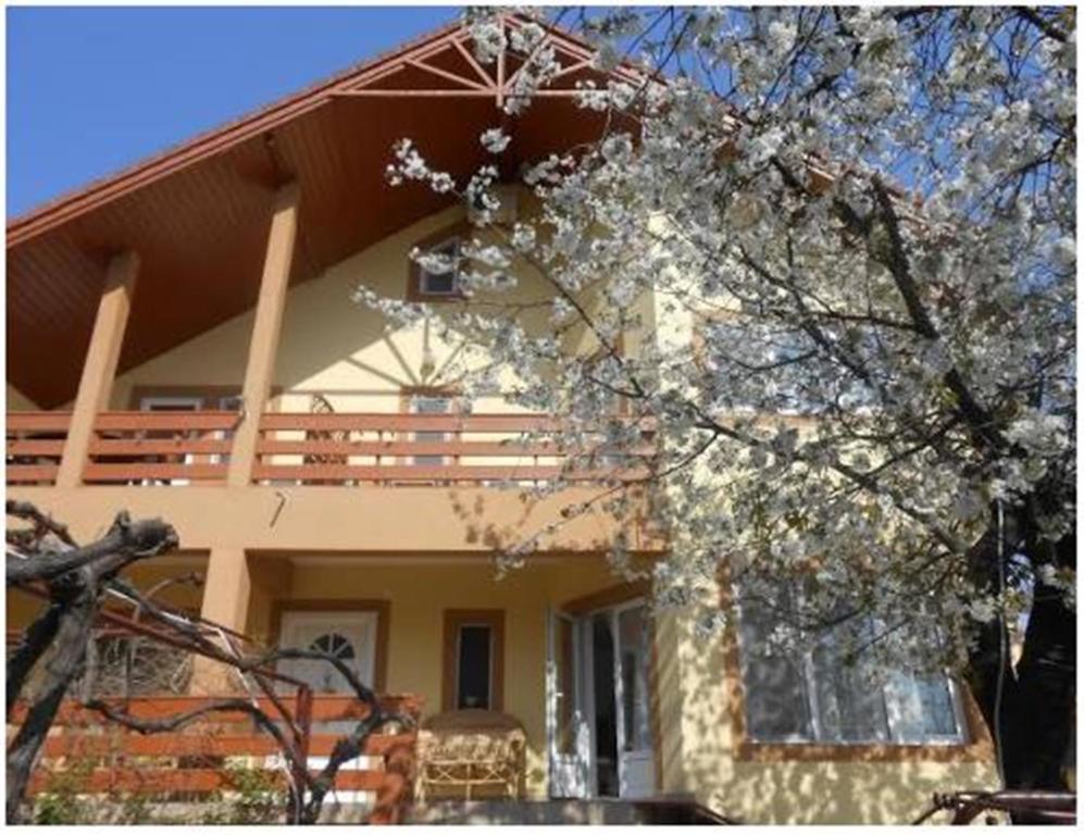 Pensiunea Pentru Tine Prietene Arcani Bilik gambar
