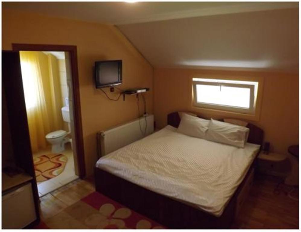 Pensiunea Pentru Tine Prietene Arcani Bilik gambar
