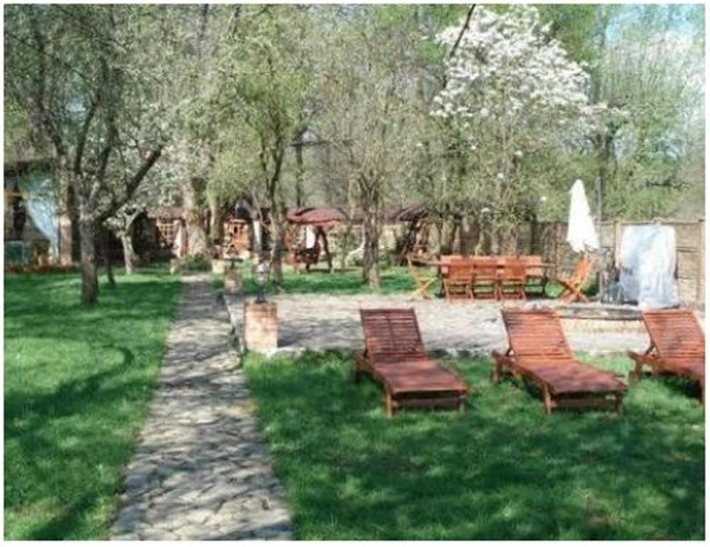 Pensiunea Pentru Tine Prietene Arcani Bilik gambar