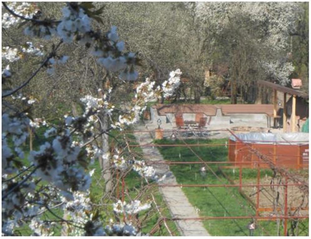 Pensiunea Pentru Tine Prietene Arcani Bilik gambar